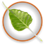 Bodhi Linux favicon