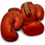 Boxer