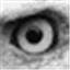Capture View favicon