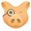 Hogwasher