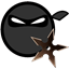 Ninja 314