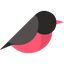Airfinch