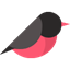 Airfinch favicon