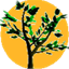 Arbaro