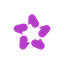 AskNicely