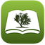 Bible by Olive Tree favicon