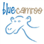 BlueCamroo favicon
