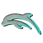 Bottlenose