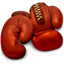 Boxer favicon