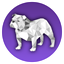 Bulldock Browser