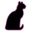 Catlooking Writer