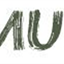 CMU Common Lisp