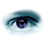 Copyscape