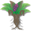 Dragora