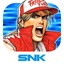 FATAL FURY