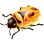 Firebug