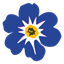 Forget Me Not favicon