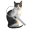 GizmoLoupe