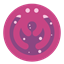 Groovesquid