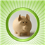 Homemoney