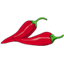 ImgSpice