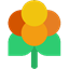 Lakka