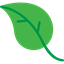 Leafy