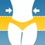 Make me thin fat body editor