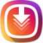 Mass Instagram Video Downloader favicon