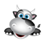 Medocow.com