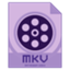 MKV Video Converter favicon