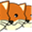 Multifox