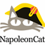 NapoleonCat.com favicon