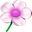 NuKit