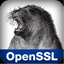 OpenSSL favicon