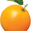 Orange Manager