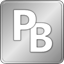 PerfectBrain Professional