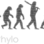 Phylo