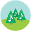 Pine Player