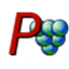 Pinot