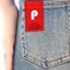 PlicPad