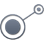 Procyon