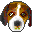 Proxyhound favicon