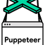 puppeteer favicon