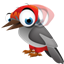 RapidClick