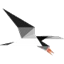 Skimur