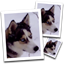 SmillaEnlarger