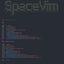 Spacevim
