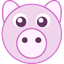 SpyPig