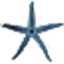 StarFisher